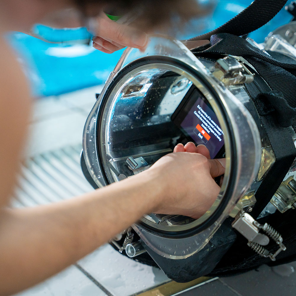 2412_Ikarus_BTS_Jan-02990